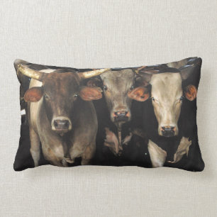 Western Rodeo Bull Cows Cowboy Southwest MoJo Pill Lumbar Cushion