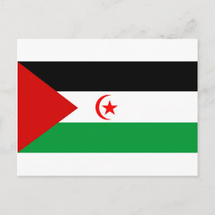 Western Sahara flag Postcard