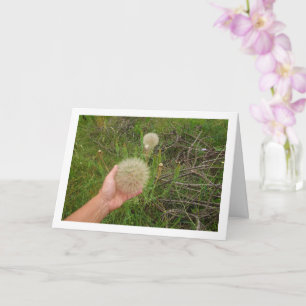 Western Salsify Plants Card