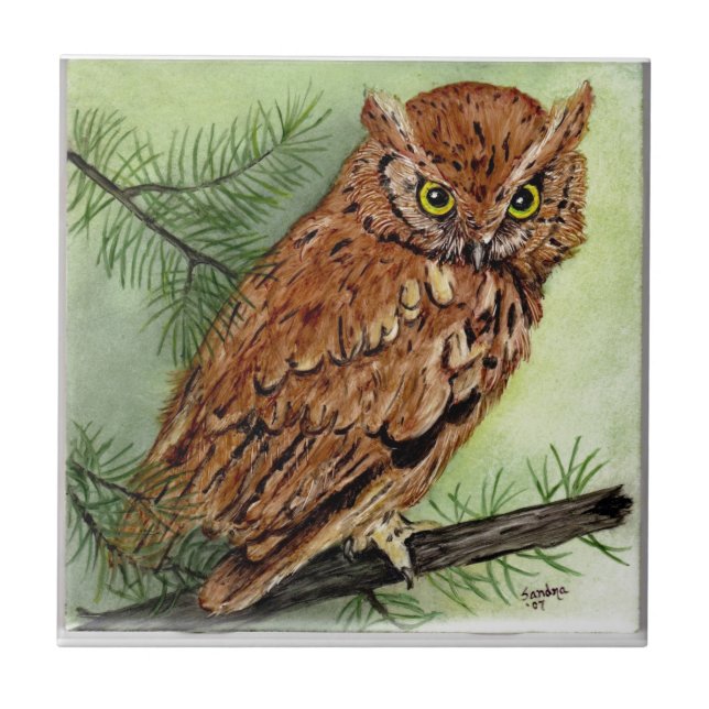 Western Screech Owl Ceramic Tile (Front)