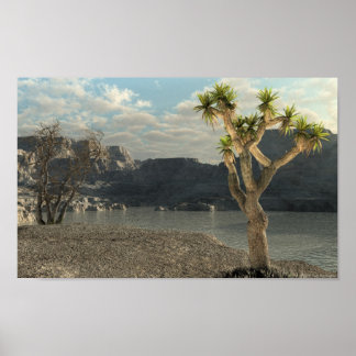 Western Stream Poster