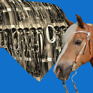 Western Tack Room Bridles Rope Print Necktie 2