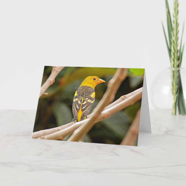 Western Tanager Bird Card (Front)