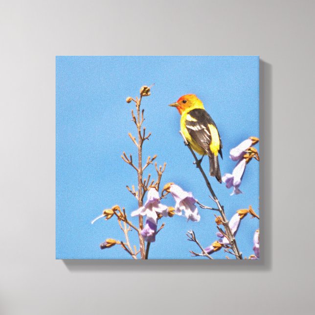 Western Tanager Canvas Print (Front)
