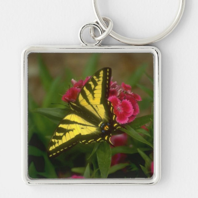 Western Tiger Swallowtail (7) Key Ring (Front)