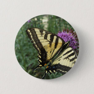 Western Tiger Swallowtail Butterfly 6 Cm Round Badge