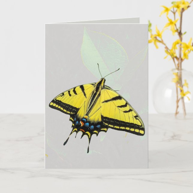 Western Tiger Swallowtail Butterfly & leaf  Card (Yellow Flower)