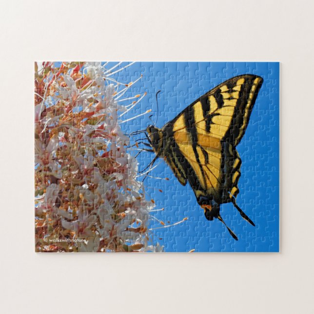 Western Tiger Swallowtail Butterfly on the Buckeye Jigsaw Puzzle (Horizontal)