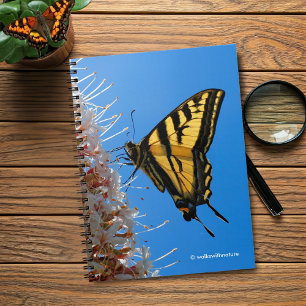 Western Tiger Swallowtail Butterfly on the Buckeye Notebook