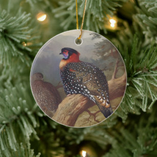 Western tragopan, Bird Illustrations Ceramic Ornament