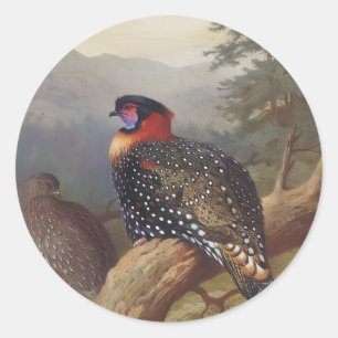 Western tragopan, Bird Illustrations Classic Round Sticker