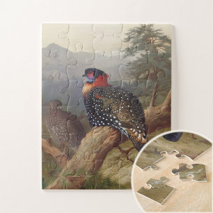 Western tragopan, Bird Illustrations Jigsaw Puzzle