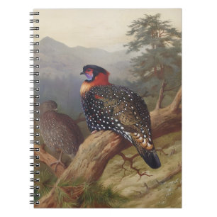 Western tragopan, Bird Illustrations Notebook