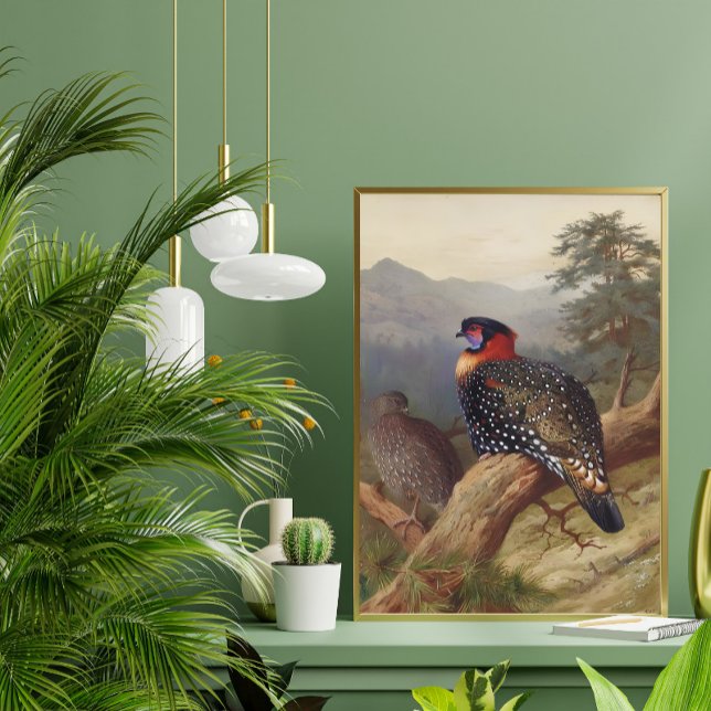 Western tragopan, Bird Illustrations Poster (Creator Uploaded)