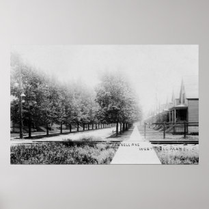 Western View of Parnell Avenue Poster