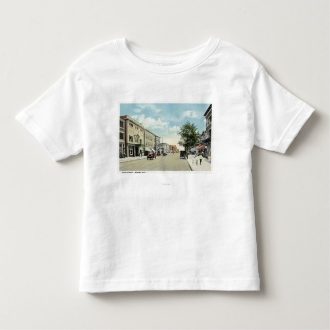 Western View of State Street Toddler T-Shirt (Front)