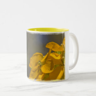 Western Wallflower Two-Tone Coffee Mug
