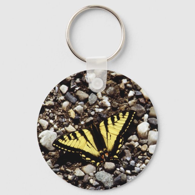 Western Yellow Swallowtail (4) Key Ring (Front)