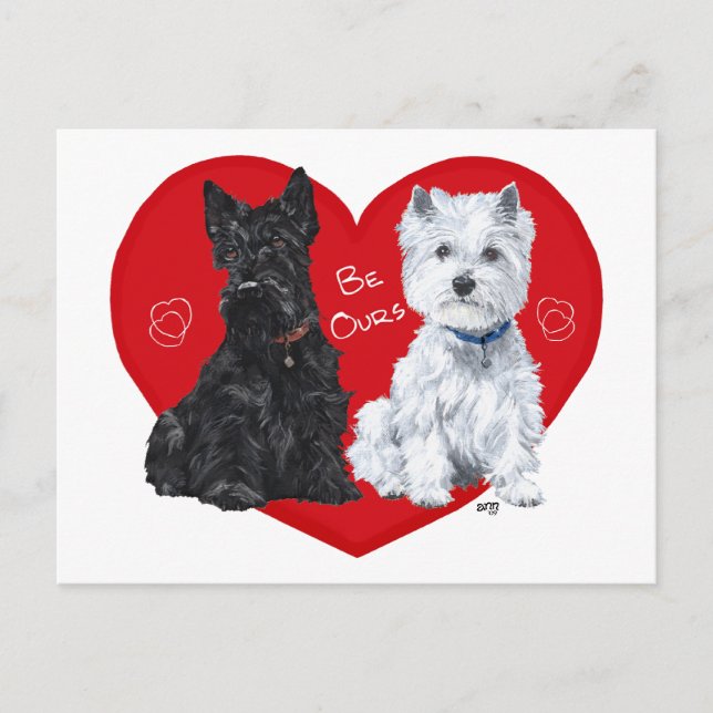 Westie and Scottie Valentine Holiday Postcard (Front)