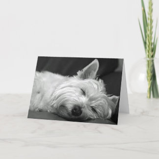Westie Asleep Card