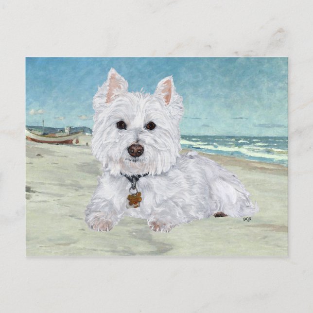Westie at the Beach Postcard (Front)
