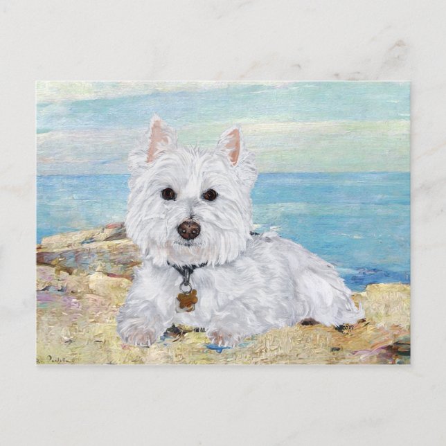 Westie at the Beach Postcard (Front)