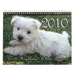 Westie Calendar 2010