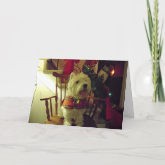 Westie Christmas Card