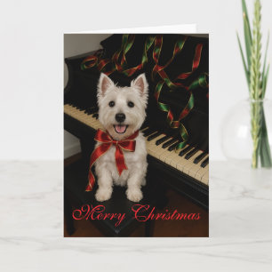 Westie Christmas Card