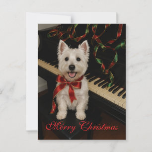 Westie Christmas Card