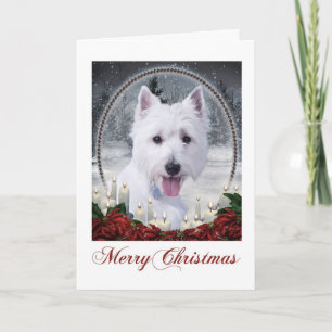 Westie Christmas Card