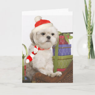 Westie Christmas Cards