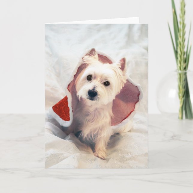 "Westie Claus" Holiday Card (Front)
