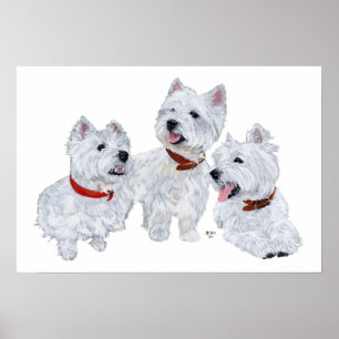 Westie Conference Poster