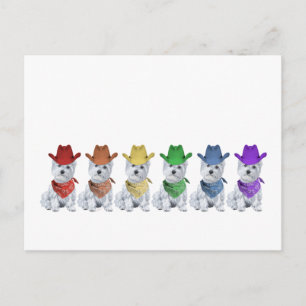 Westie Cowboys All in a Line Postcard