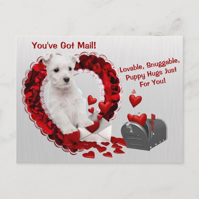 Westie Cute You've Got Mail Puppy Hugs Valentine Holiday Postcard (Front)