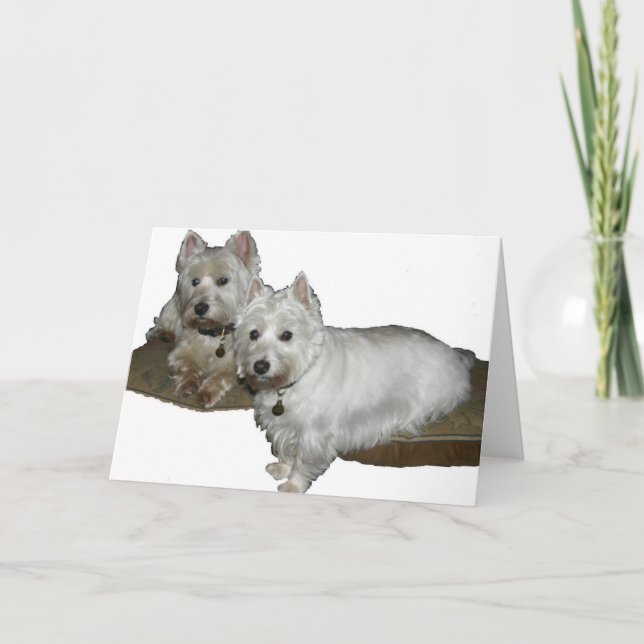 Westie Desi and Lucy Card (Front)