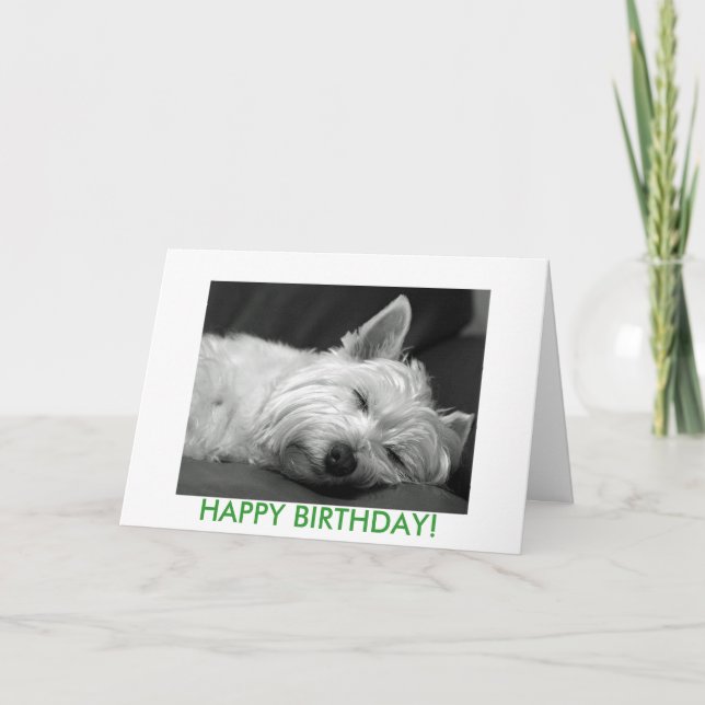 Westie Dog Birthday Card (Front)