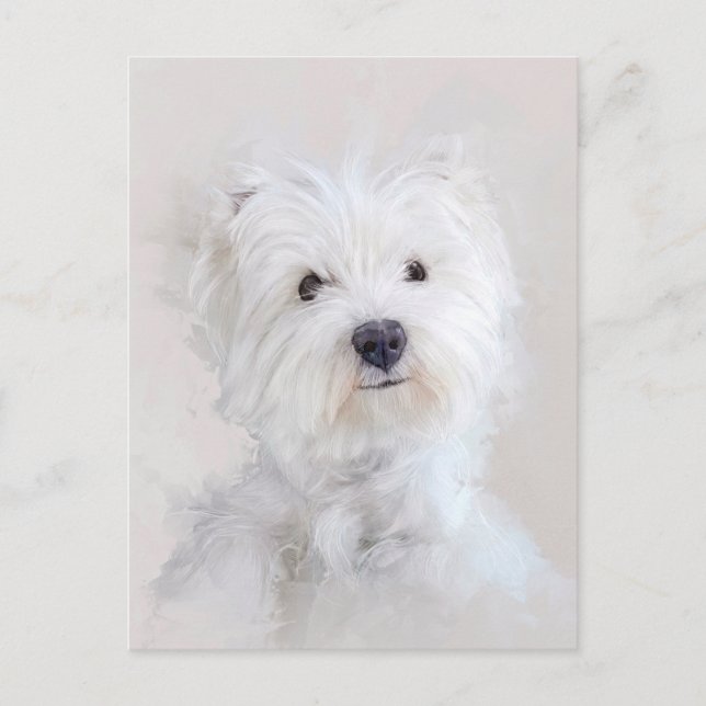 Westie Dog Portrait Postcard (Front)