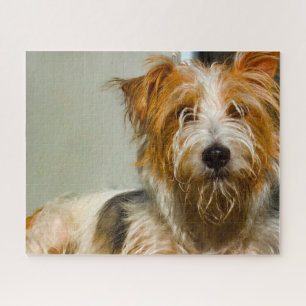 Westie Dogs Jigsaws. Jigsaw Puzzle