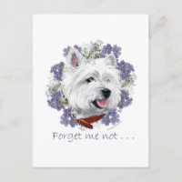 Westie Forget Me Not