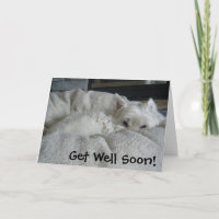 Westie Get Well Soon Photo Greeting Card
