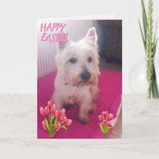 Westie Happy Easter 3 Holiday Card