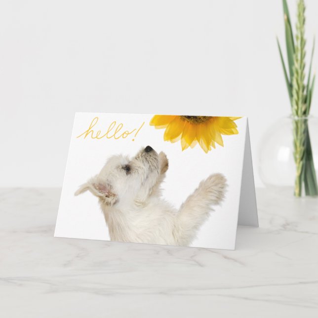 Westie Hello Blank Notecard (Front)