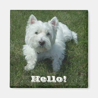 Westie Hello Photo Magnet