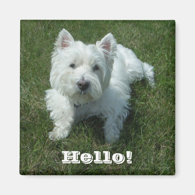 Westie Hello Photo Magnet (Front)