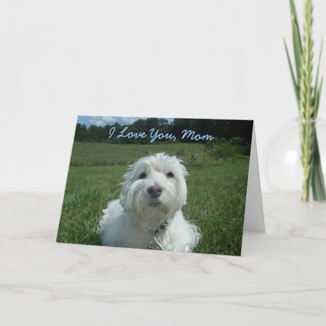 Westie I Love You Mum Happy Mother's Day Card (Front)