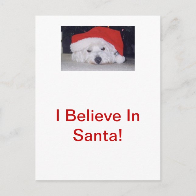 Westie in a Santa Hat Holiday Postcard (Front)