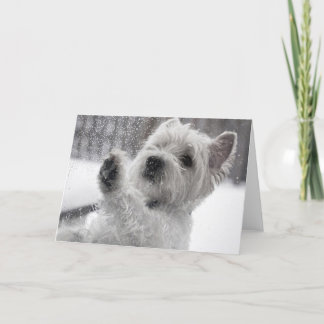 Westie in the Rain Card