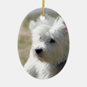 Westie in the springtime ceramic tree decoration